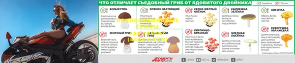 мдма Бородино