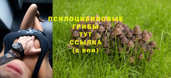 мдма Бородино