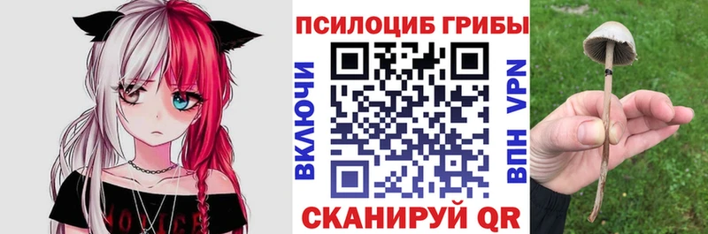 купить закладку  Брянск  Псилоцибиновые грибы прущие грибы 